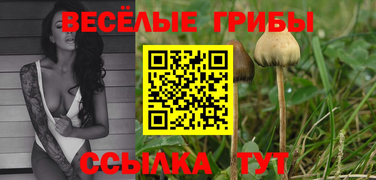 Ливны  Галлюциногенные грибы Psilocybe  Вход с VPN 